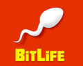 /data/image/game/bitlife-life-simulator-c0011.jpg